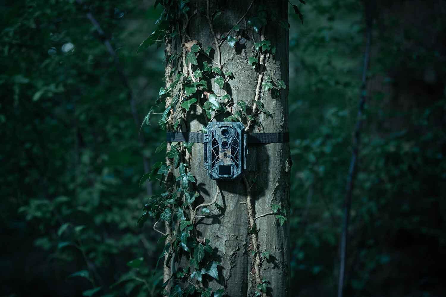 CAMÉRA DE CHASSE - PIÈGE PHOTO - CAMOUFLAGE EZ2 ÉLITE - DOUBLE OBJECTIF 7/7