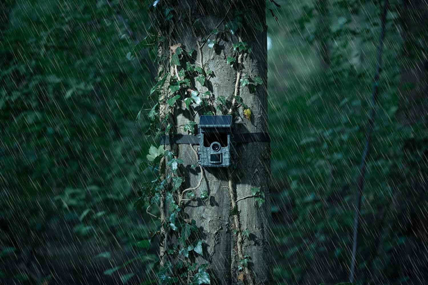 CAMÉRA DE CHASSE - PIÈGE PHOTO - CAMOUFLAGE EZ SOLAR - AUTONOME EN ÉNERGIE 7/7