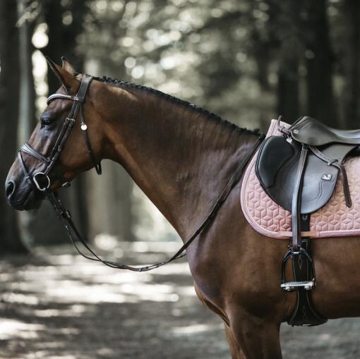 Tapete de adestramento Kentucky Velvet 2/3