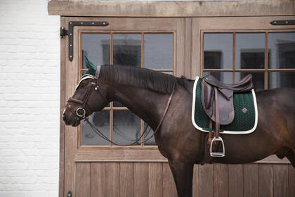 Tapis de selle velours contrast dressage bordeaux 2/5