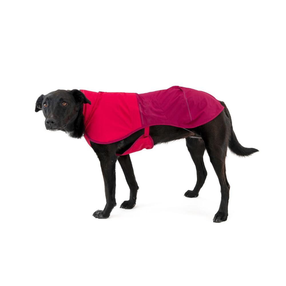 Sun Shower™ Dog Raincoat Hibiscus Pink 5/8