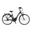FISCHER City E-Bike CITA 5 Special - schwarz, 28 Zoll, RH 44 cm, 504 Wh