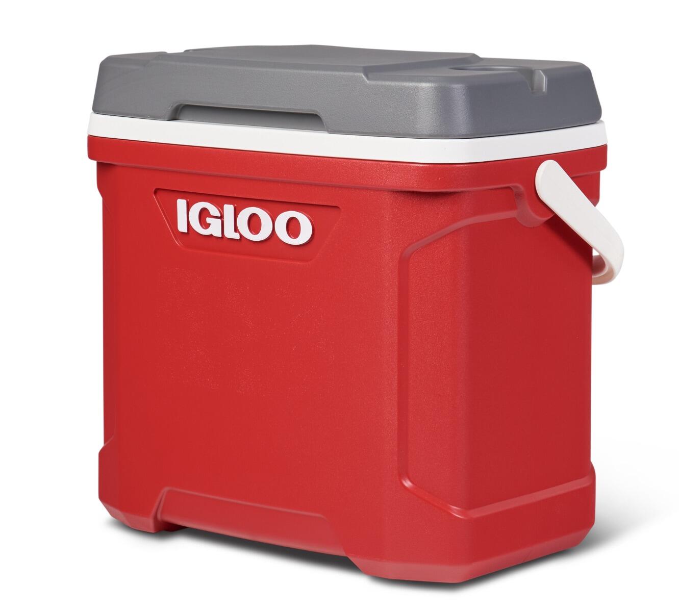 IGLOO picture