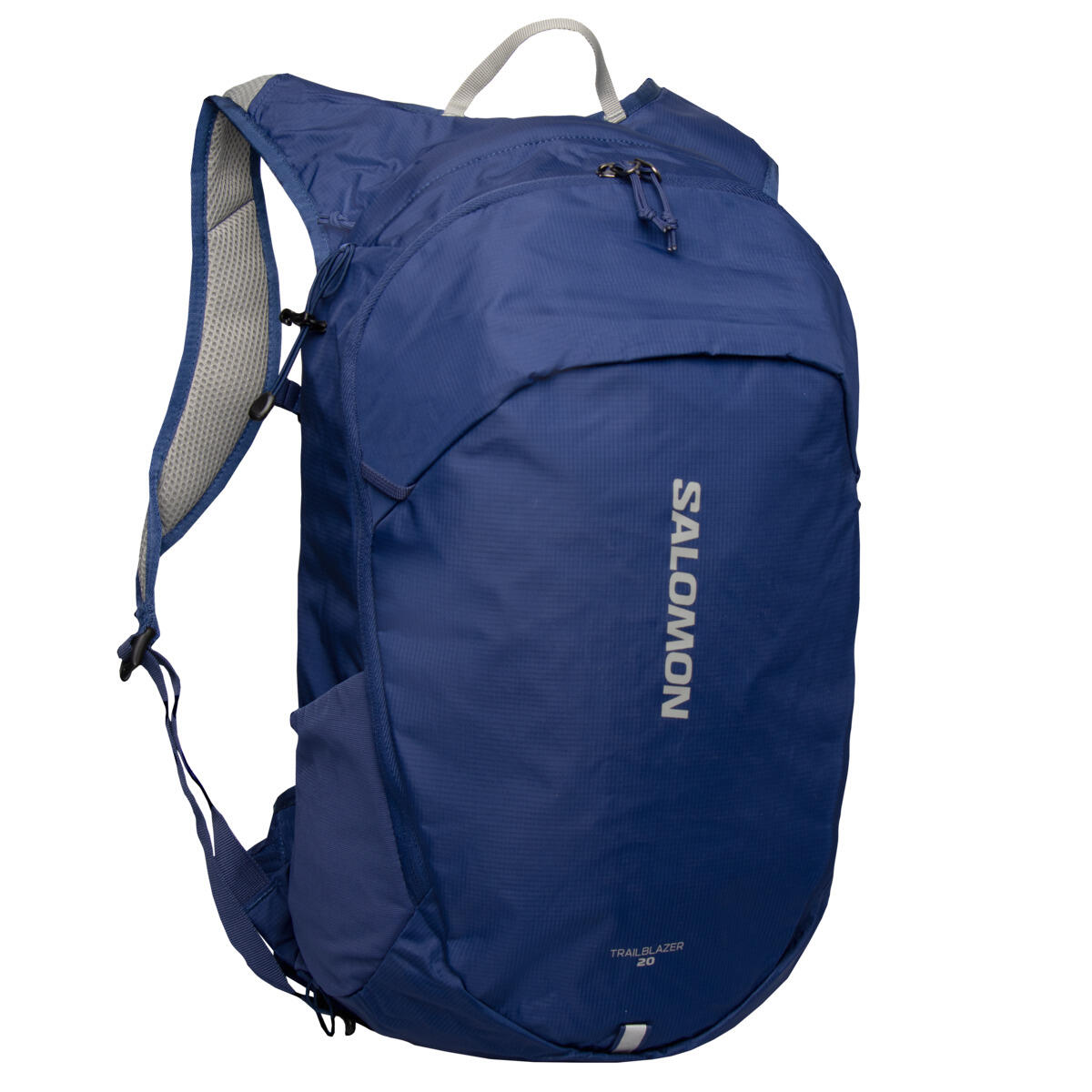 SALOMON picture