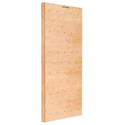 Turnwand-Einzelelement TuWa Kletterwand ohne Griffe Turnen