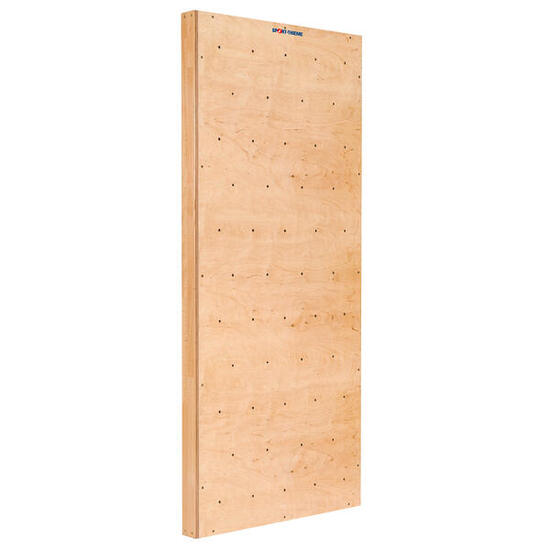 Turnwand-Einzelelement TuWa Kletterwand ohne Griffe Turnen