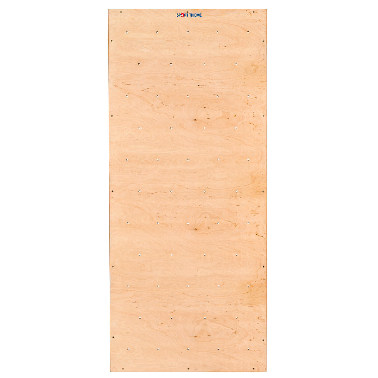 Gymnastics Wall Frame TuWa Climbing Wall without Holds Turnen / Kunstturnen 2/5