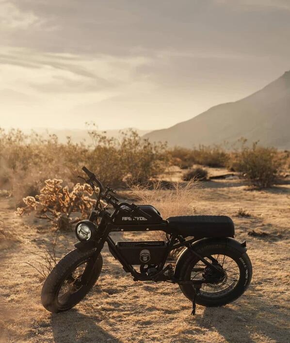 Aperyder Bonobo elektrische fat bike 5/5