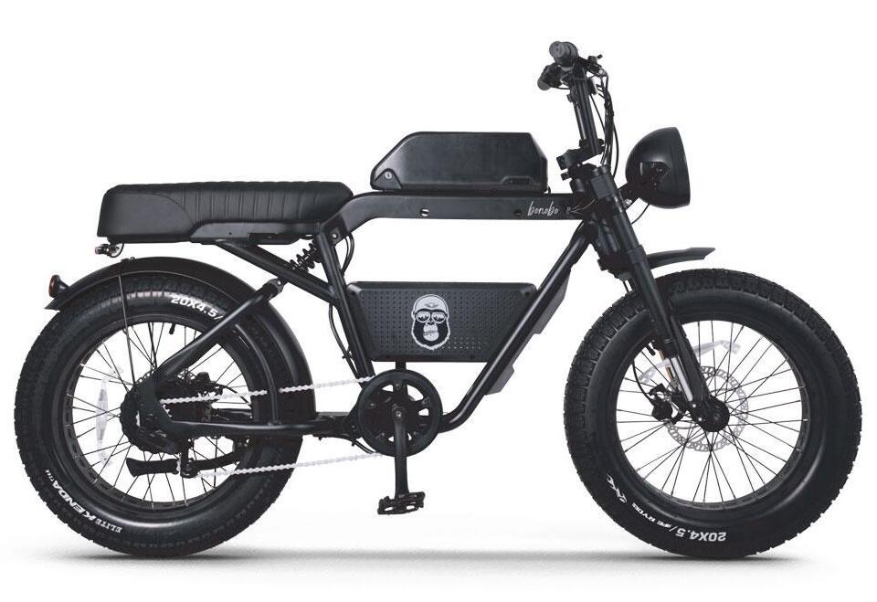 STEPGO Aperyder Bonobo elektrische fat bike