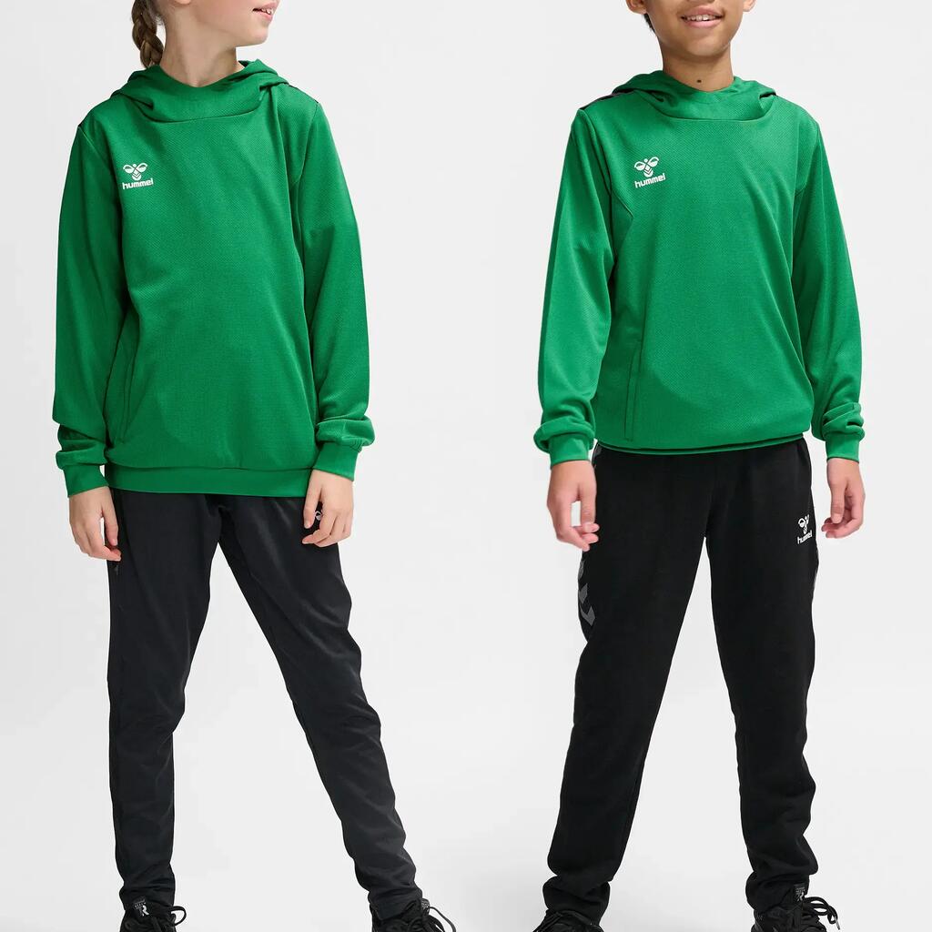 Hooded sweatshirt polyester child Hummel Authentic