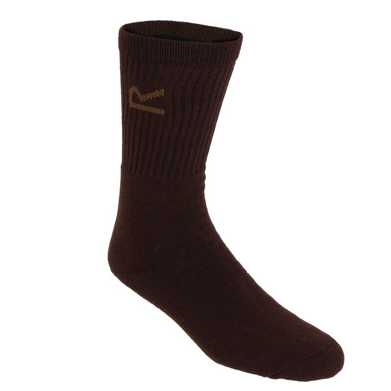 Regatta Chaussettes de randonnée thermiques pour hommes, marron