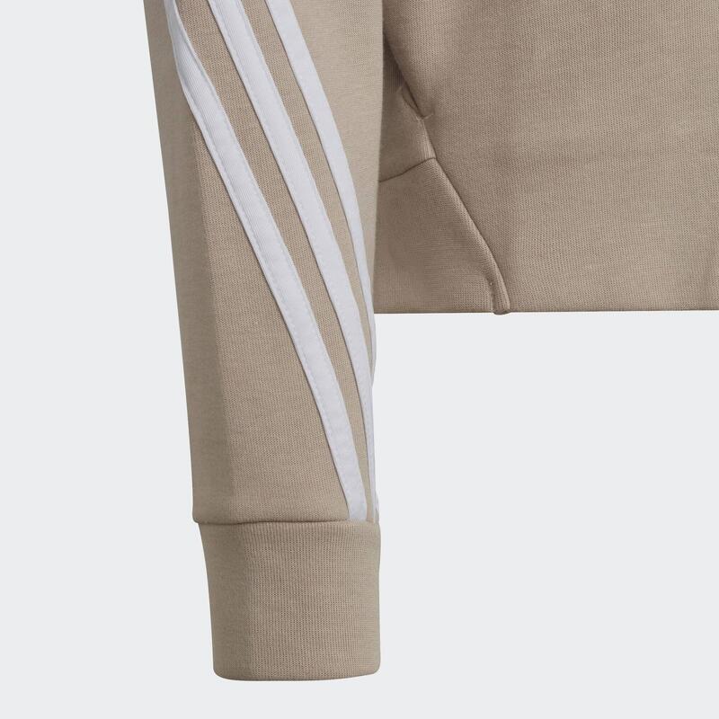 Veste à capuche entièrement zippée 3-Stripes Future Icons