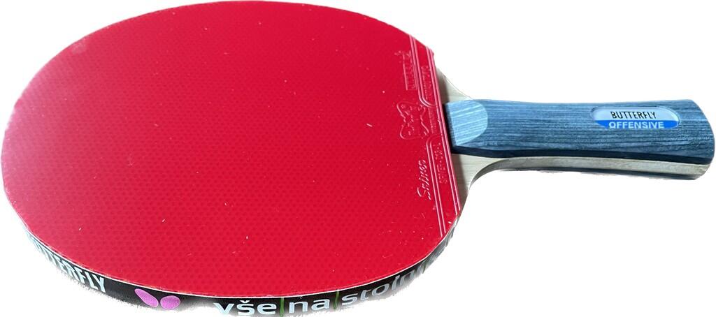 Pálka na stolní tenis Offensive New + Sriver L 4/4