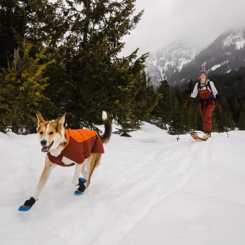 Veste pour chien Ruffwear Vert