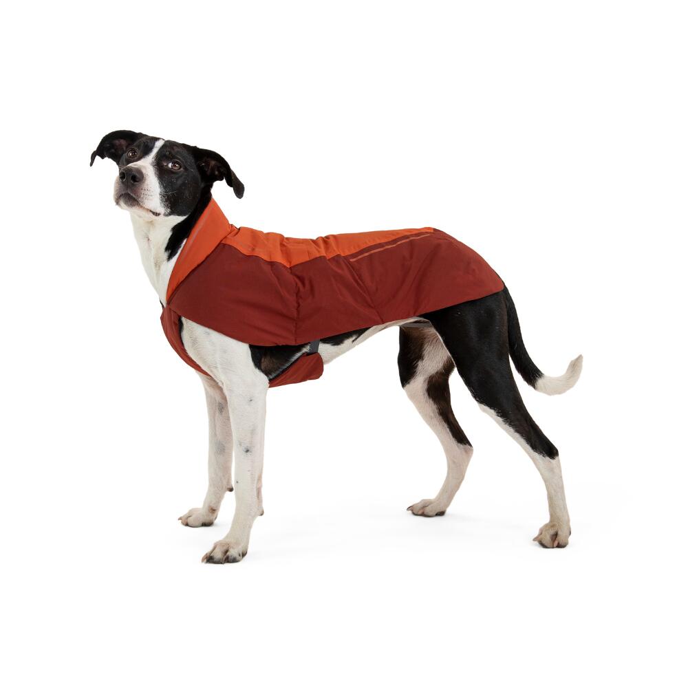 Vert™ Waterproof Dog Jacket Canyonlands Orange 5/8