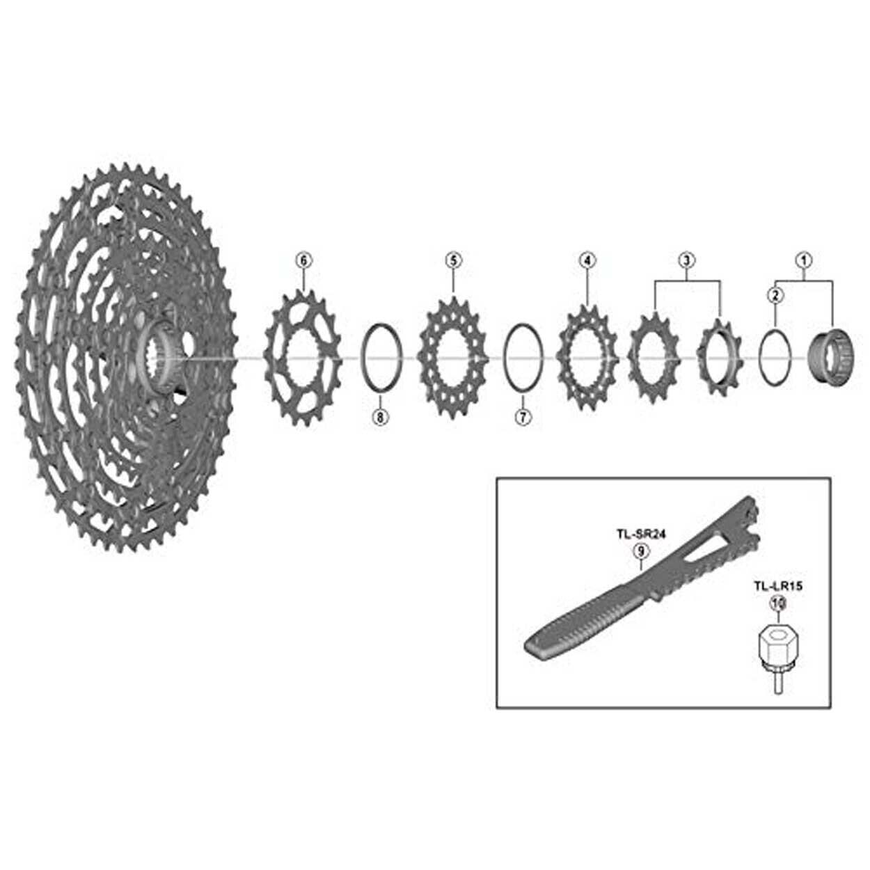 Pignon Shimano CSM8100 3/3