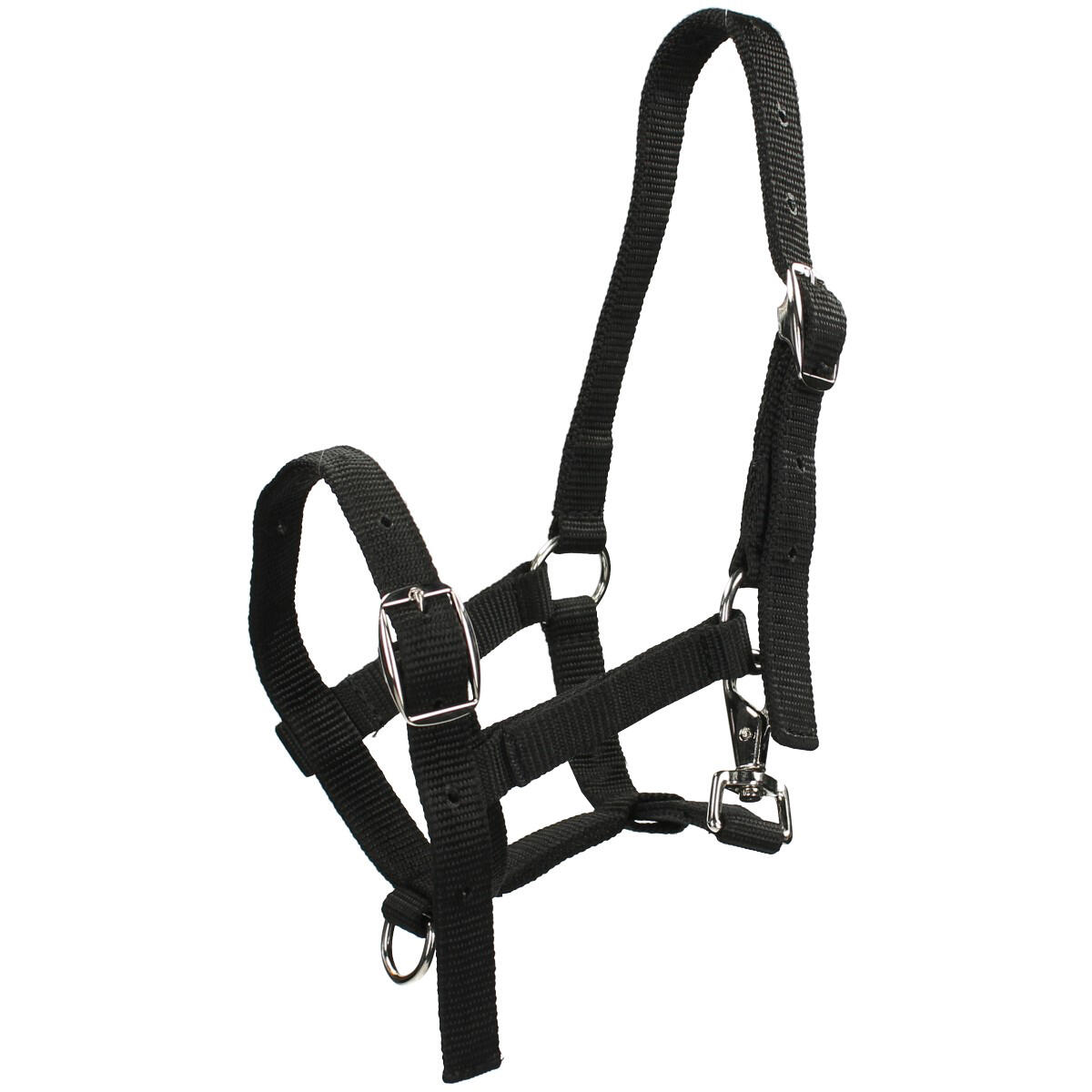 HORSEGEAR Fohlenhalfter HORSEGEAR Schwarz