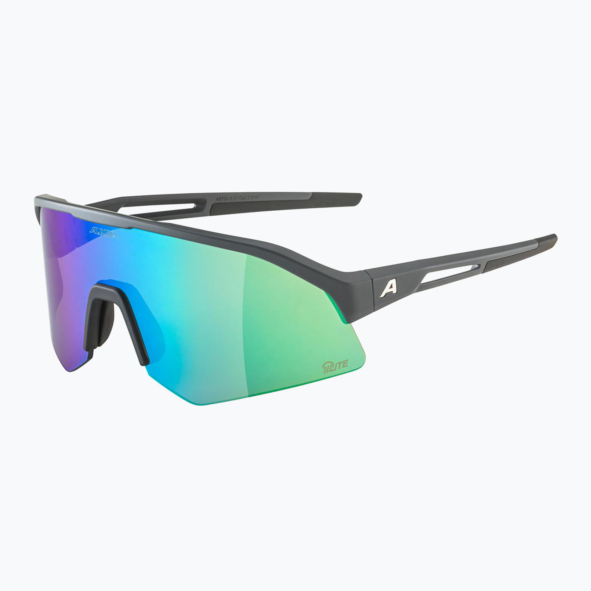 Gafas de sol Alpina Sonic Q-Lite 4/4