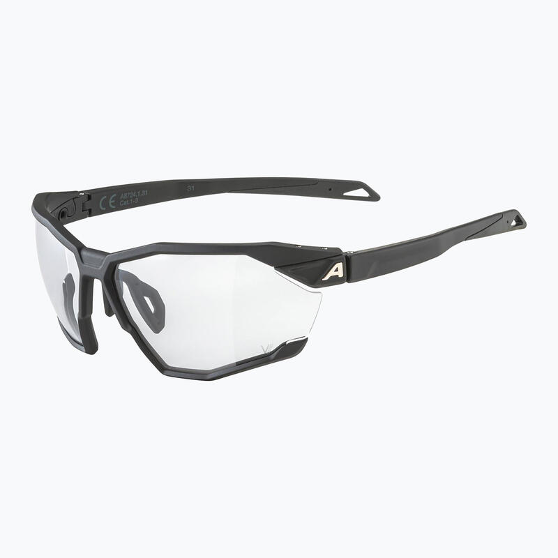 Gafas de sol Alpina Twist Six V