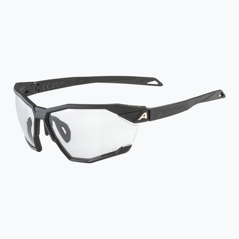 Okulary przeciwsłoneczne Alpina Twist Six V
