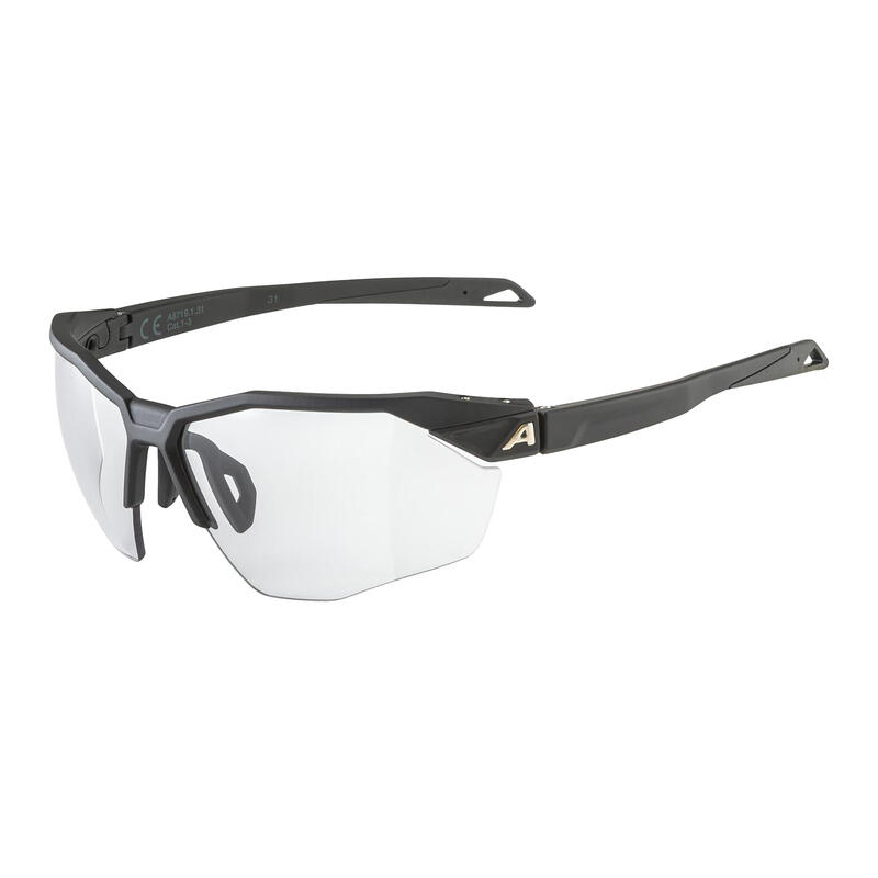 Lunettes de soleil Alpina Twist Six Hr V