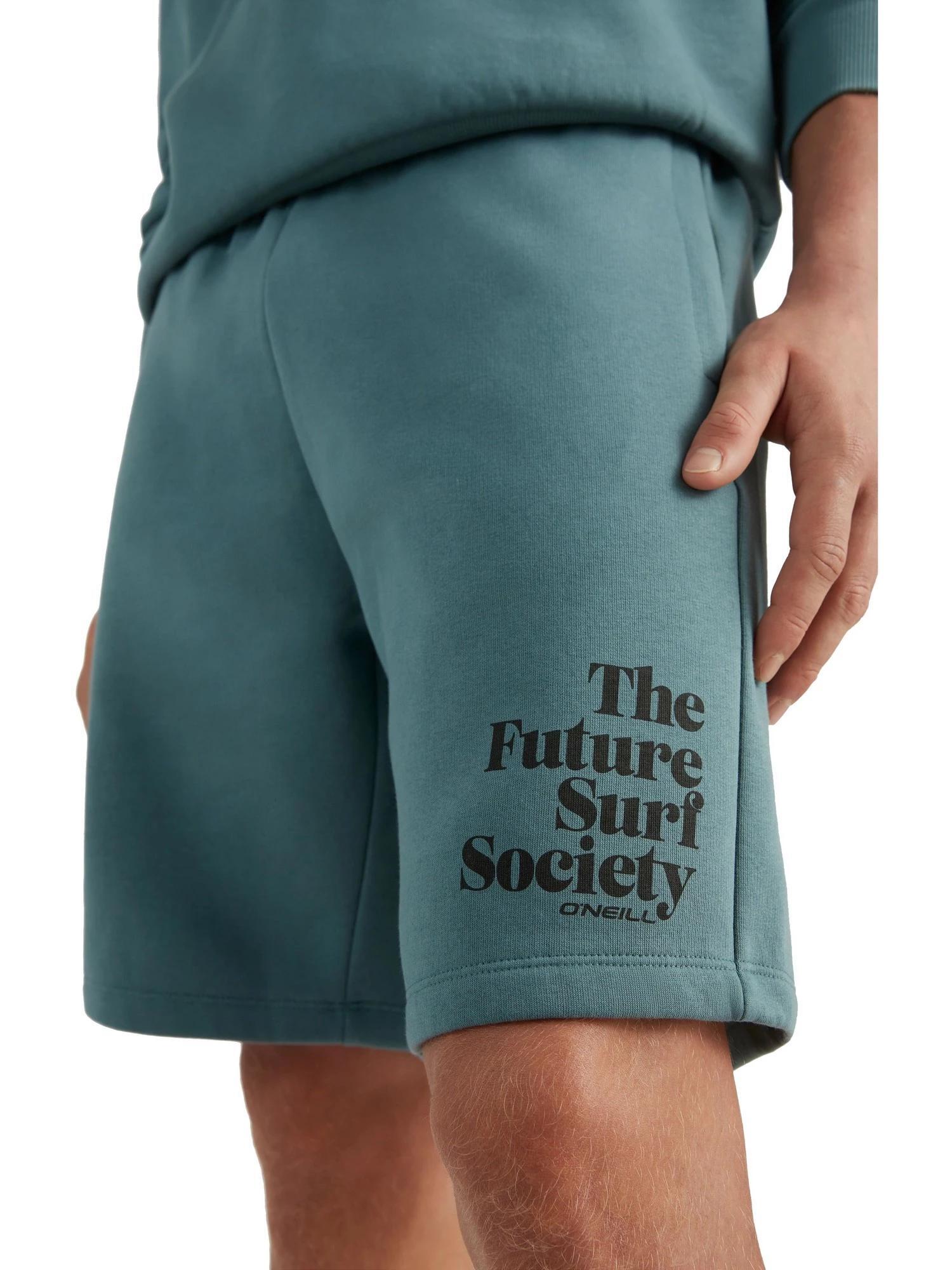 O'NEILL O'neill Shorts FUTURE SURF SHORT  Hommes Nugget 3/7