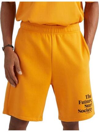 Shorts Future Surf Short Herren - blau