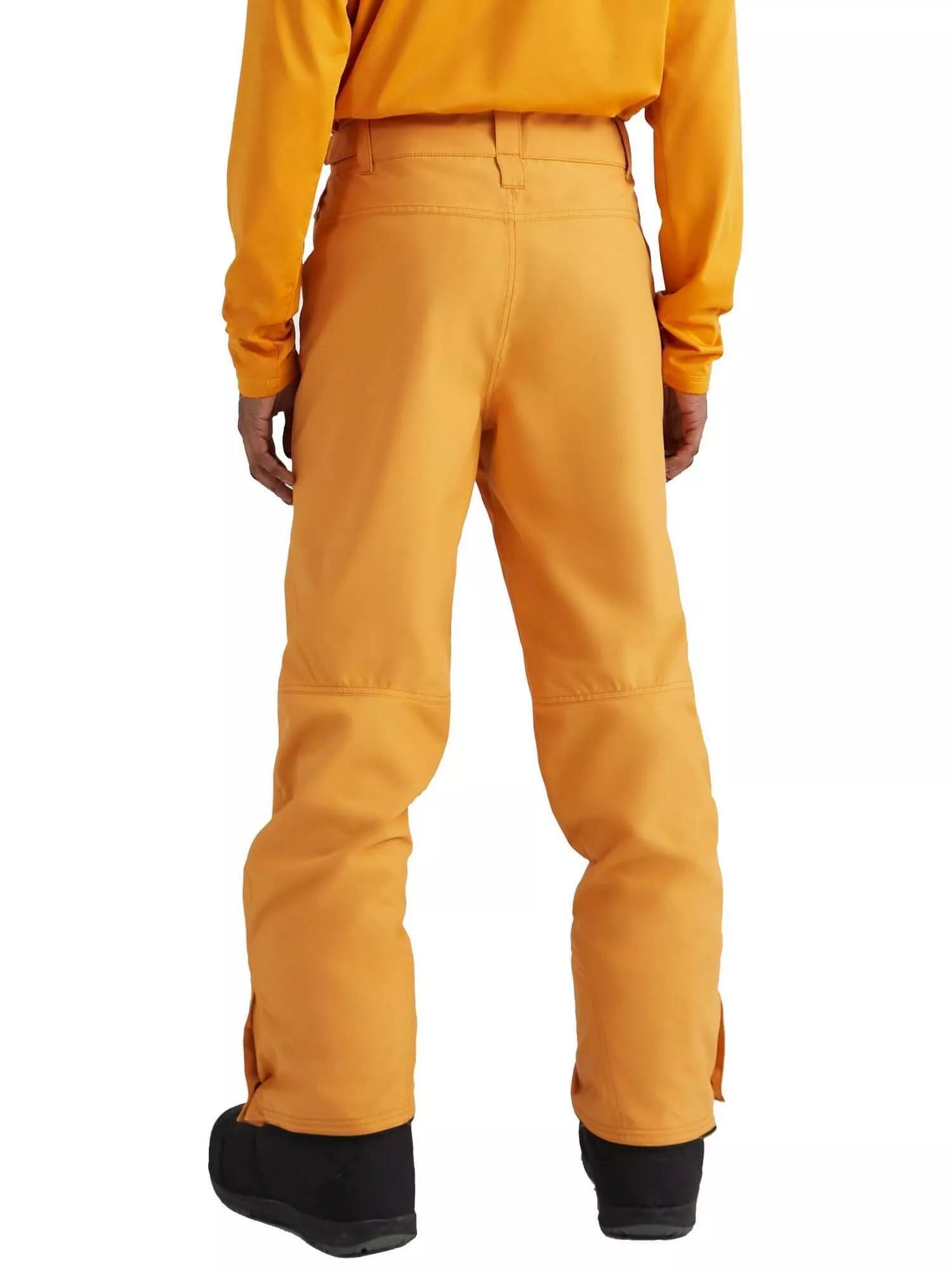 Pantaloni da sci da uomo Hammer 2/6