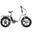 Vester Step 2025 - Vélo électrique pliable à gros pneus 48V 14Ah - Héron blanc