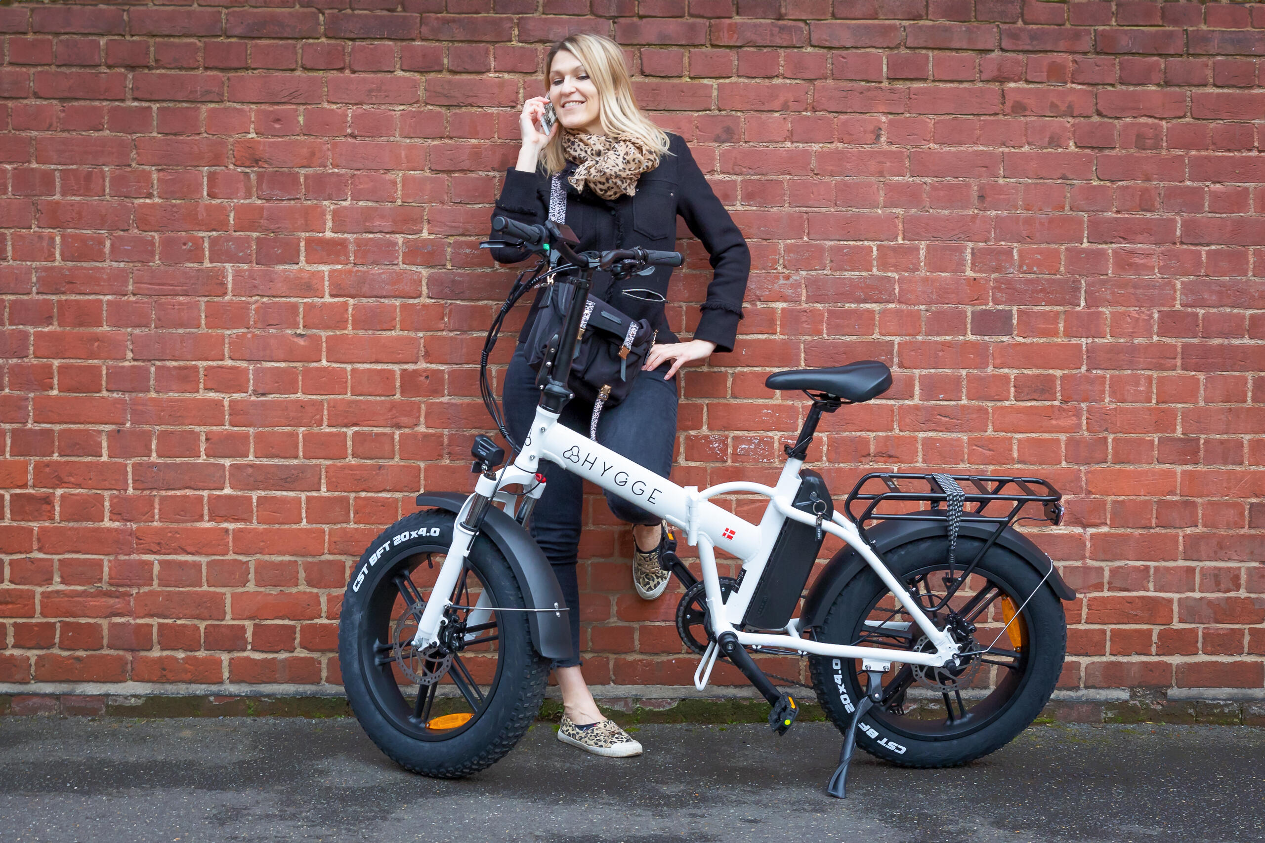 Hygge Vester 2024 Electric Folding Bike 20 inch Wheel E-Bike | Heron White 3/8