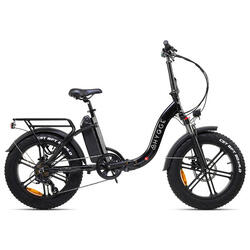 Hygge Vester Step 2024 Elektrische vouwfiets 20 inch E-bike met wiel