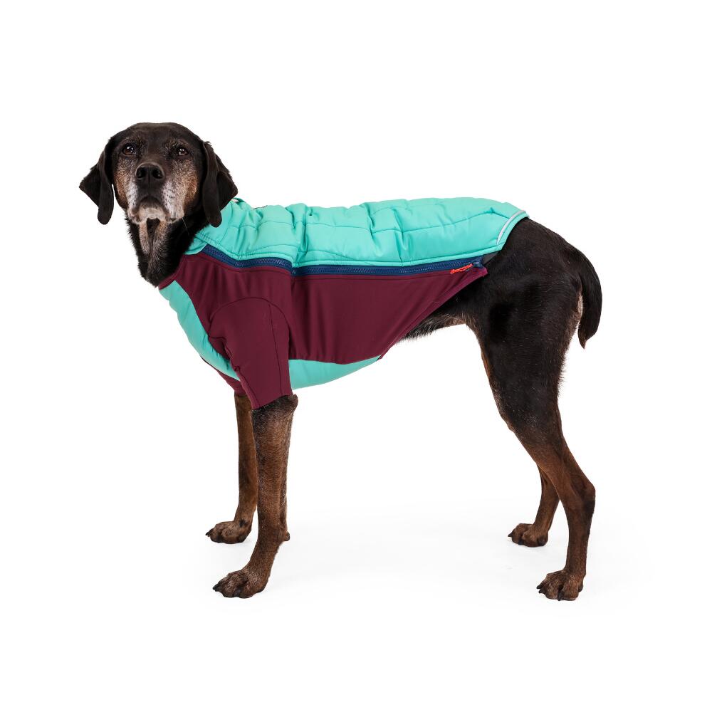 Powder Hound™ Insulated Dog Jacket Aurora Teal 5/8