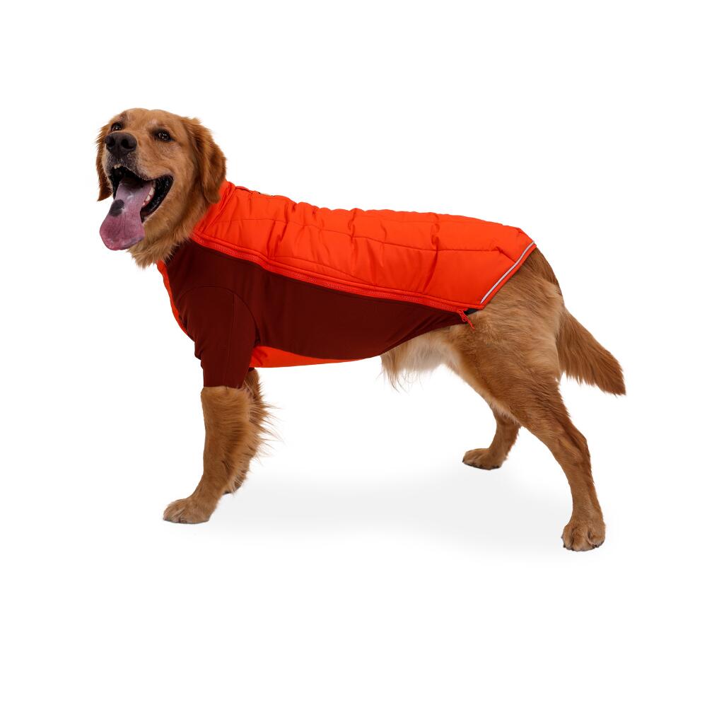 Powder Hound™ Insulated Dog Jacket Persimmon Orange 5/8