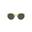 Zuma 8005系列成人中性摺疊式太陽眼鏡 - 金/綠
