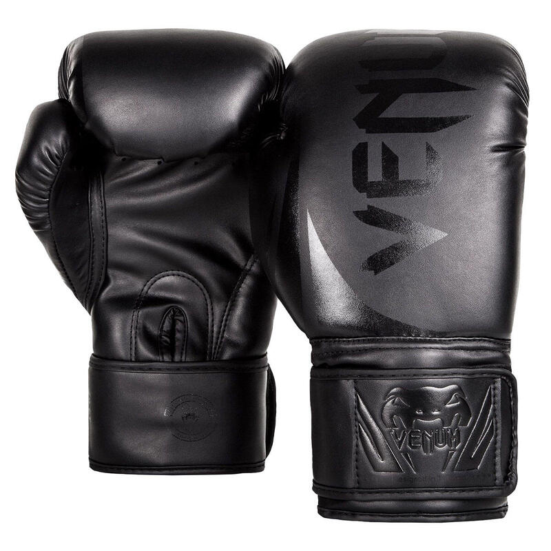 Challenger 2.0 Boxing Gloves 10oz - Black