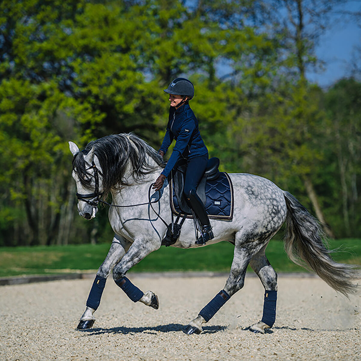 Sottosella dressage Equestrian Stockholm 4/4