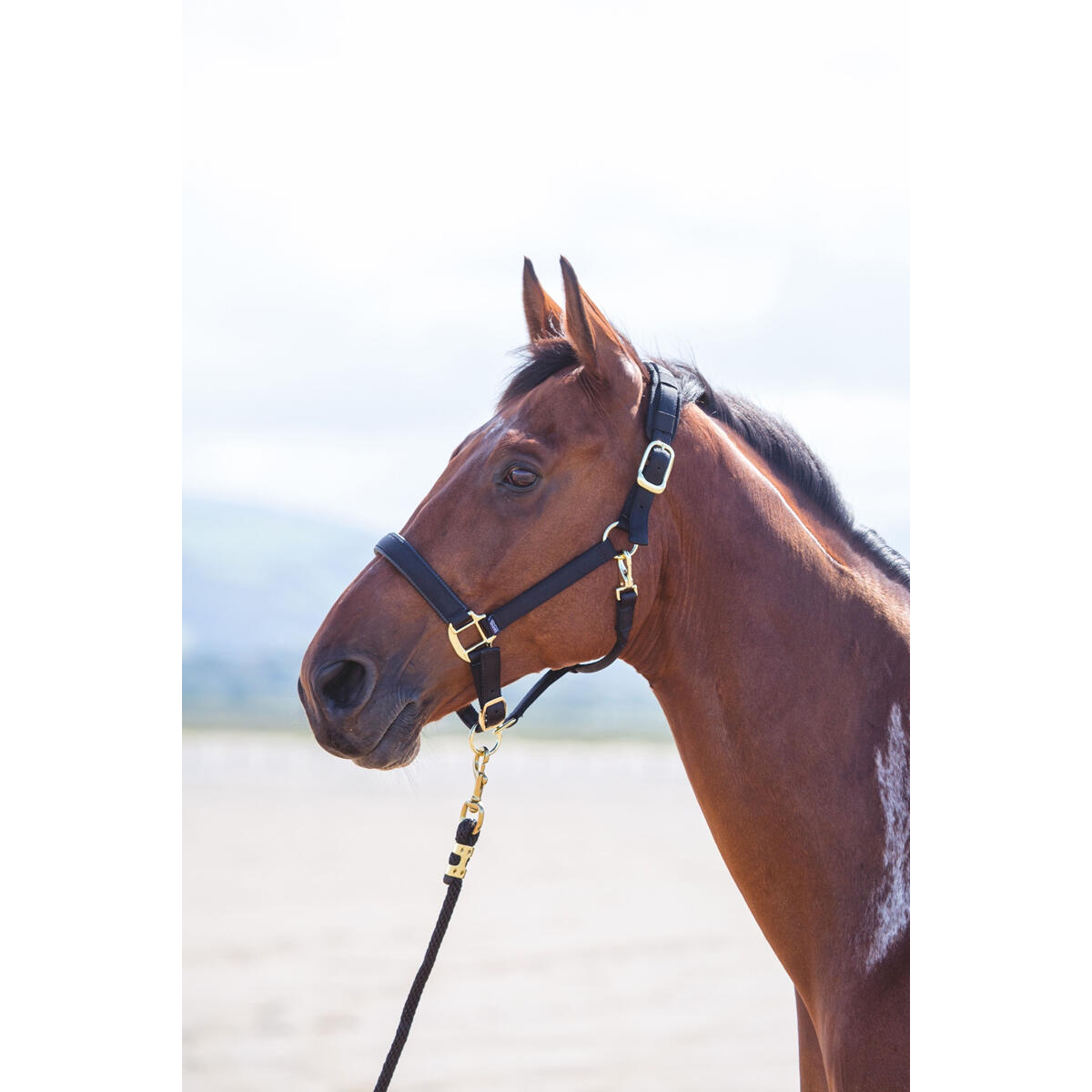 Halfter Nylon Topaz Shires Schwarz 2/2