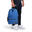 Arena Team Backpack 30 Royal