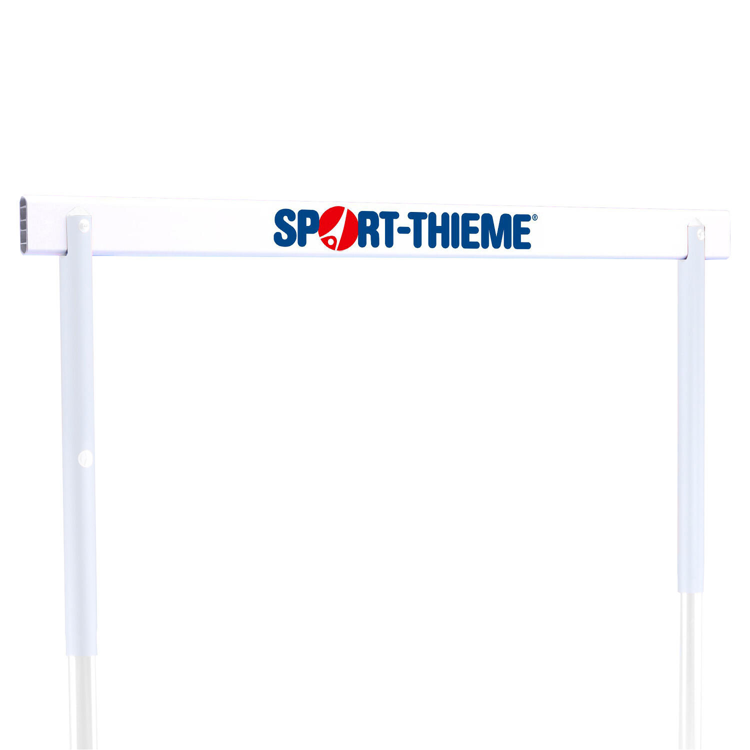 SPORT-THIEME picture