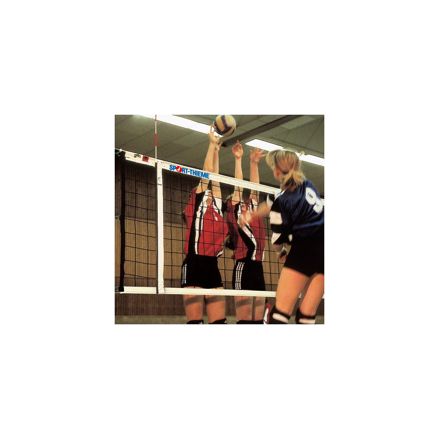 Filet de volleyball « DVV 1 » Unisexe 3/4