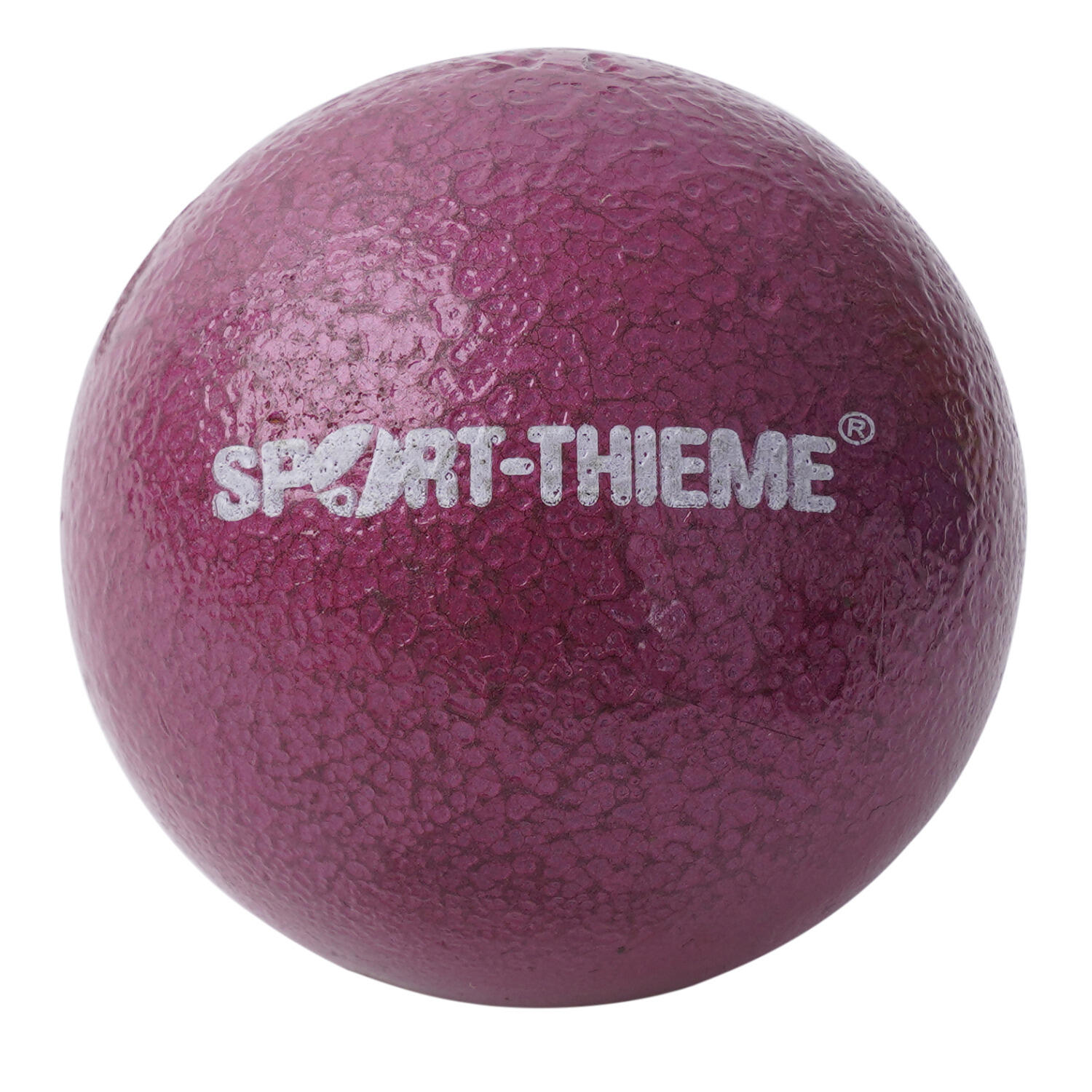 SPORT-THIEME picture