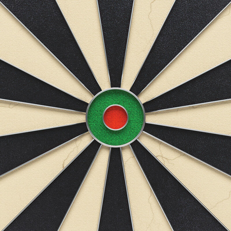 Kings Dart Steeldartscheibe Professional