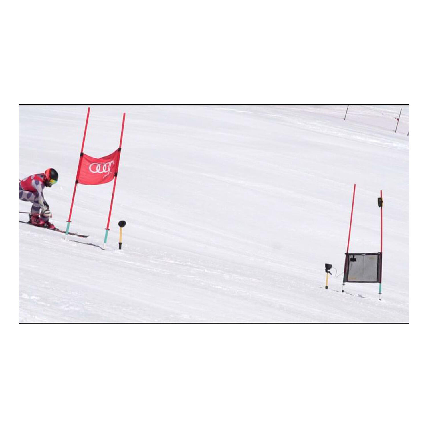 Antennenflagge CxFlag Leichtathletik Unisex 4/4