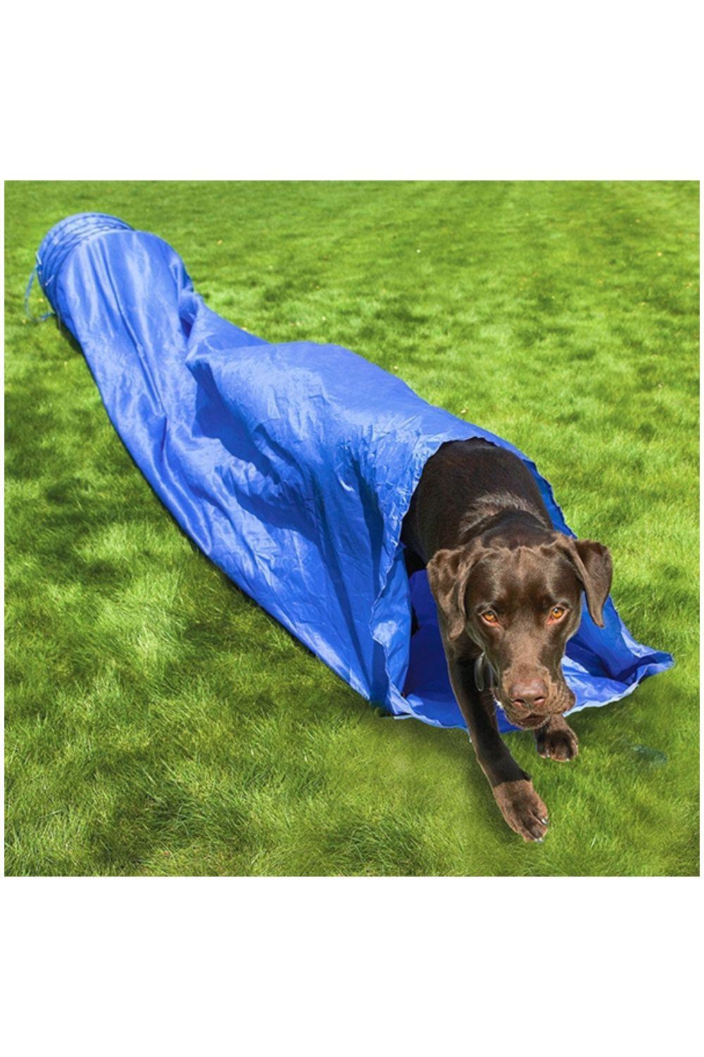 ROSEWOOD Rosewood Dog Agility Tunnel