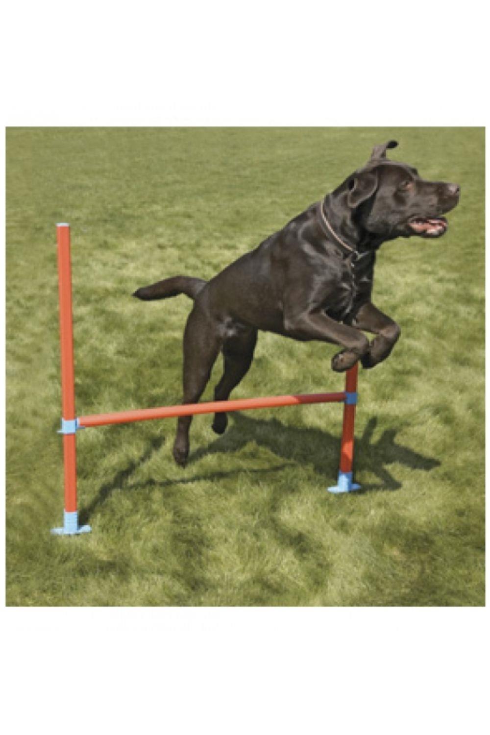 ROSEWOOD Rosewood Dog Agility Hurdle