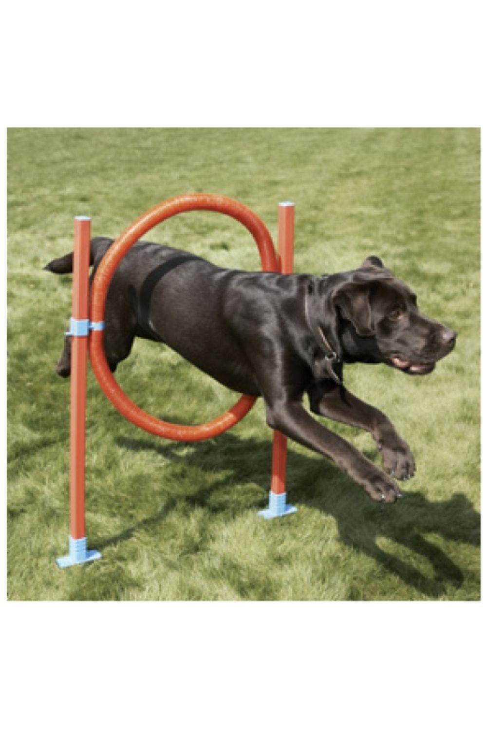 ROSEWOOD Rosewood Dog Agility Hoop Jump