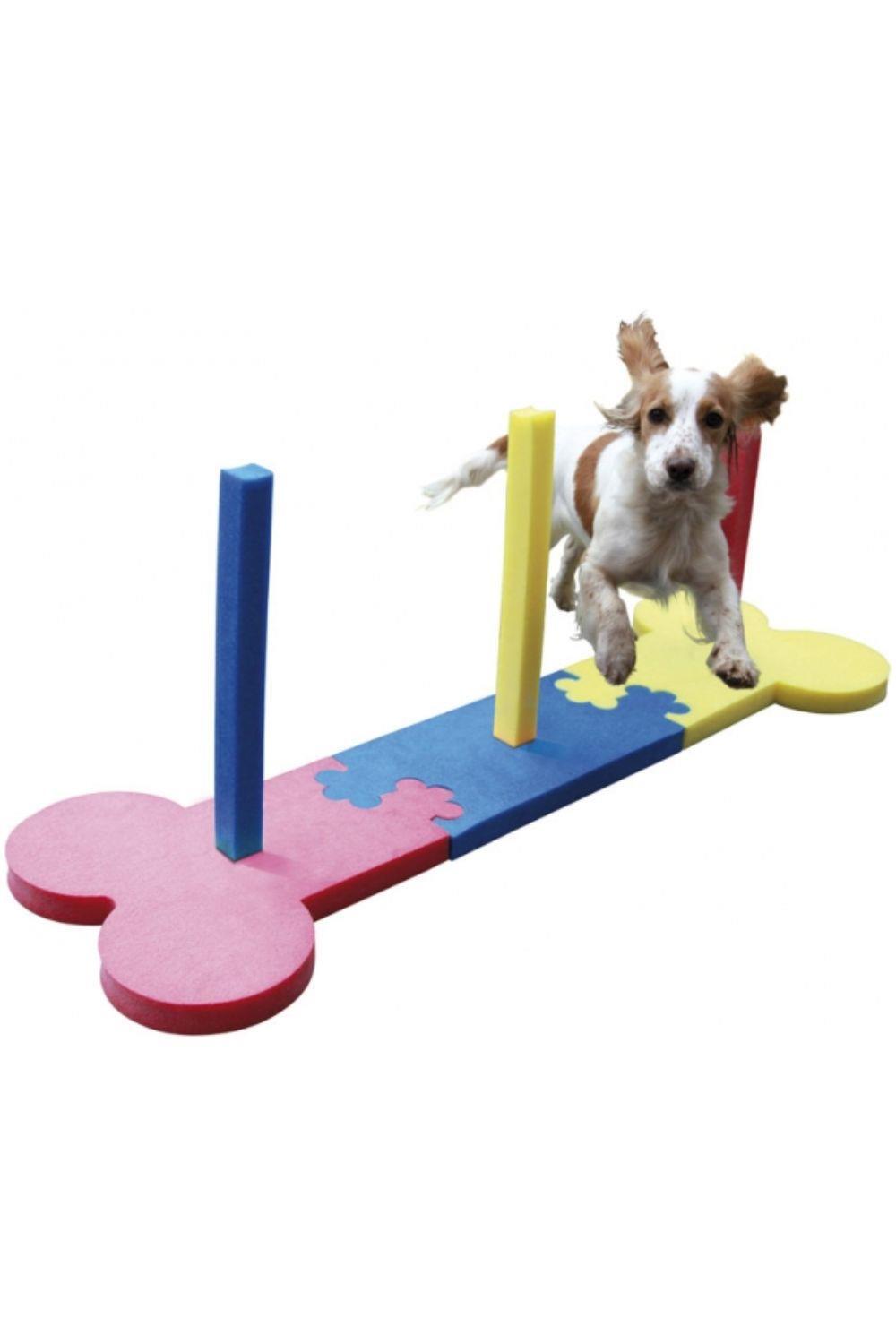 ROSEWOOD Rosewood Small Dog Agility Slalom