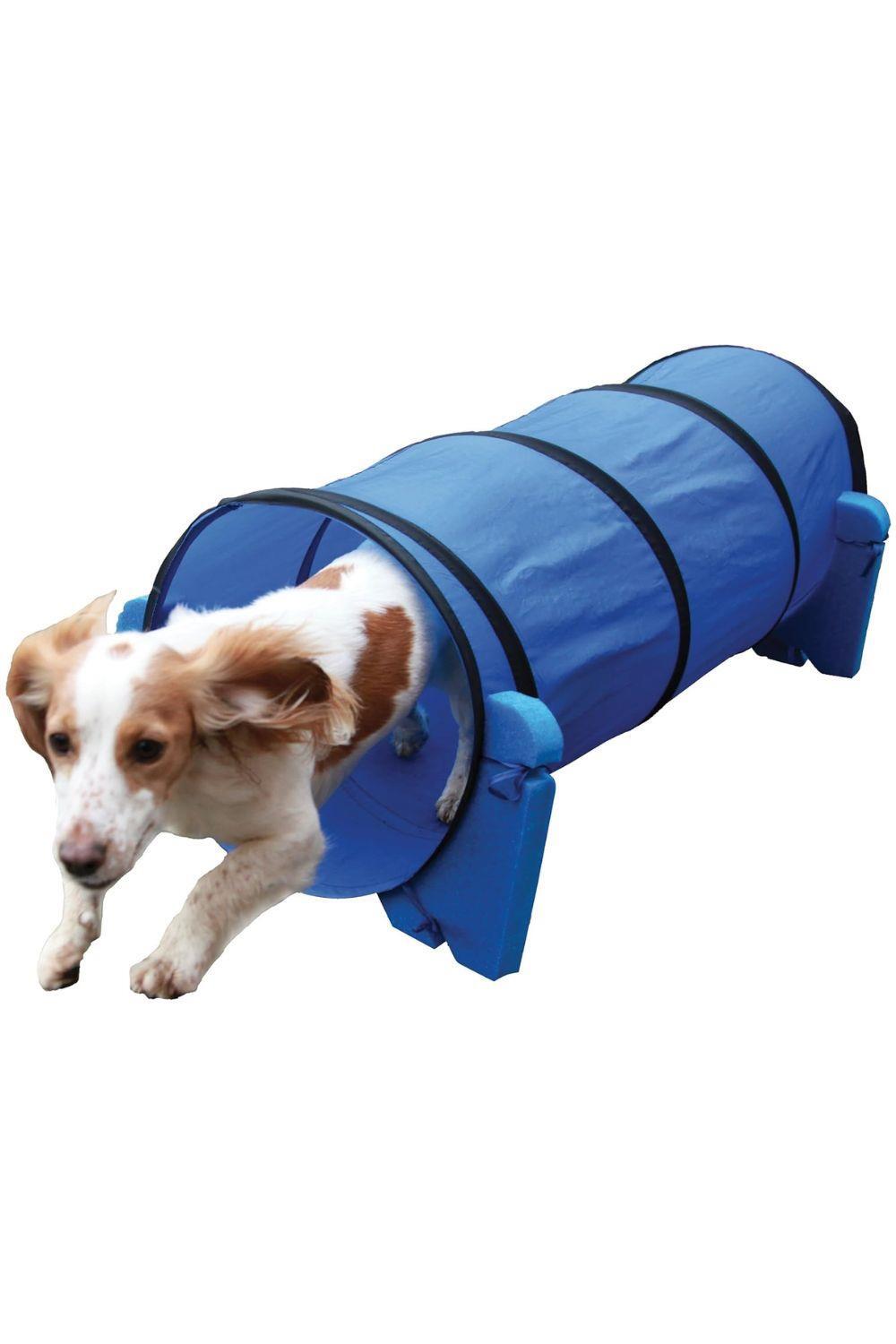 ROSEWOOD Rosewood Small Dog Agility Tunnel