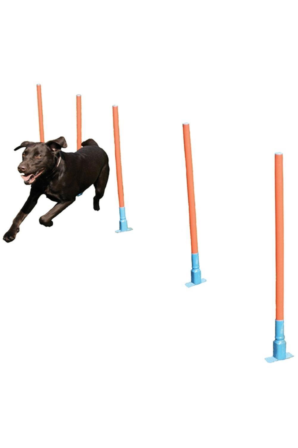 Rosewood Dog Agility Slalom 3/4