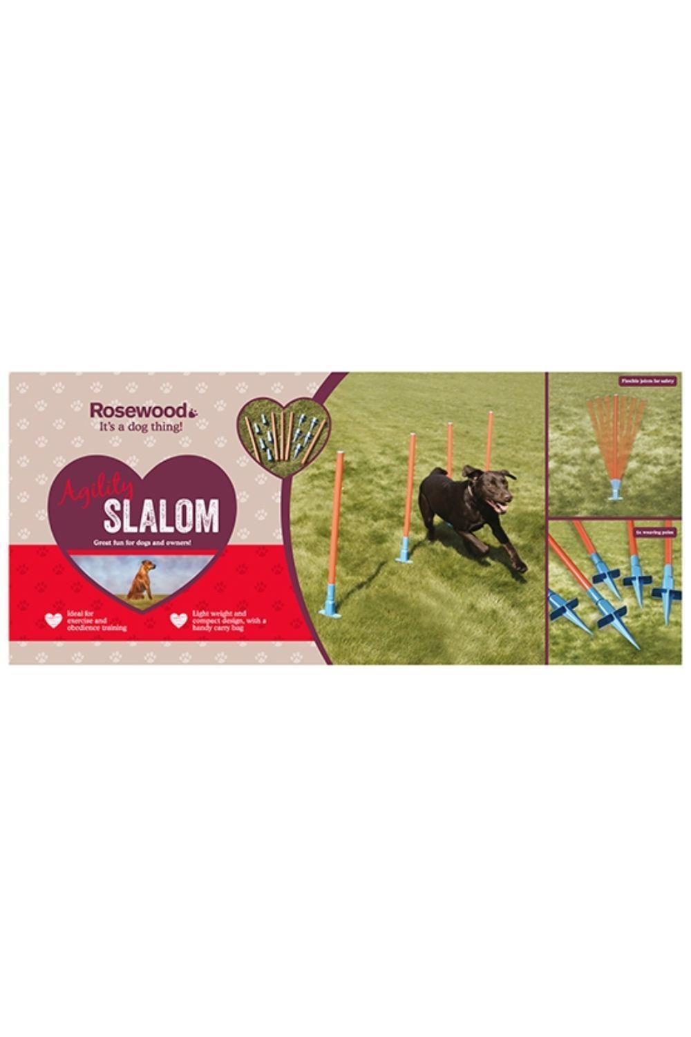 Rosewood Dog Agility Slalom 2/4